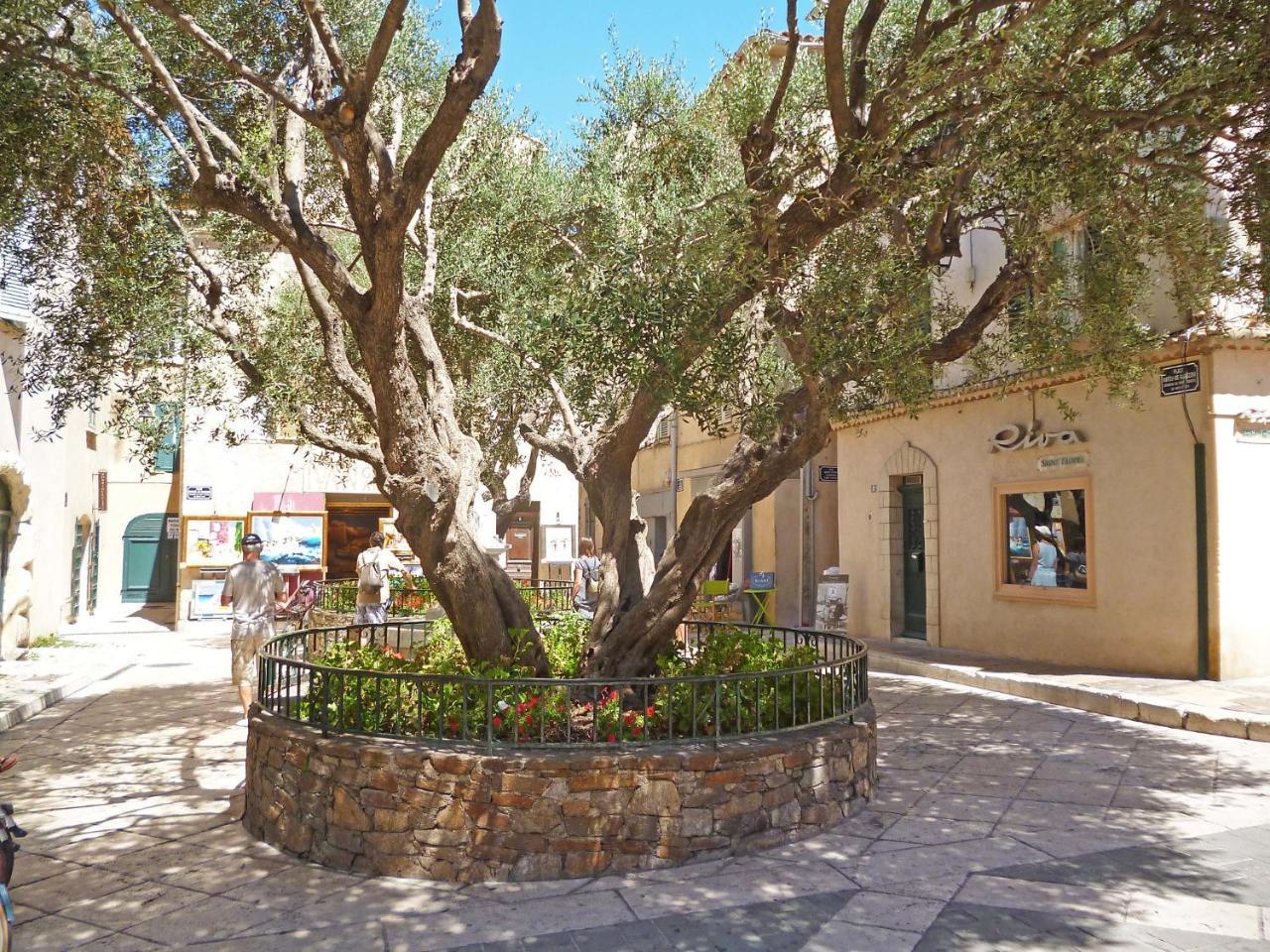 Eden Parc-4 Saint-Tropez